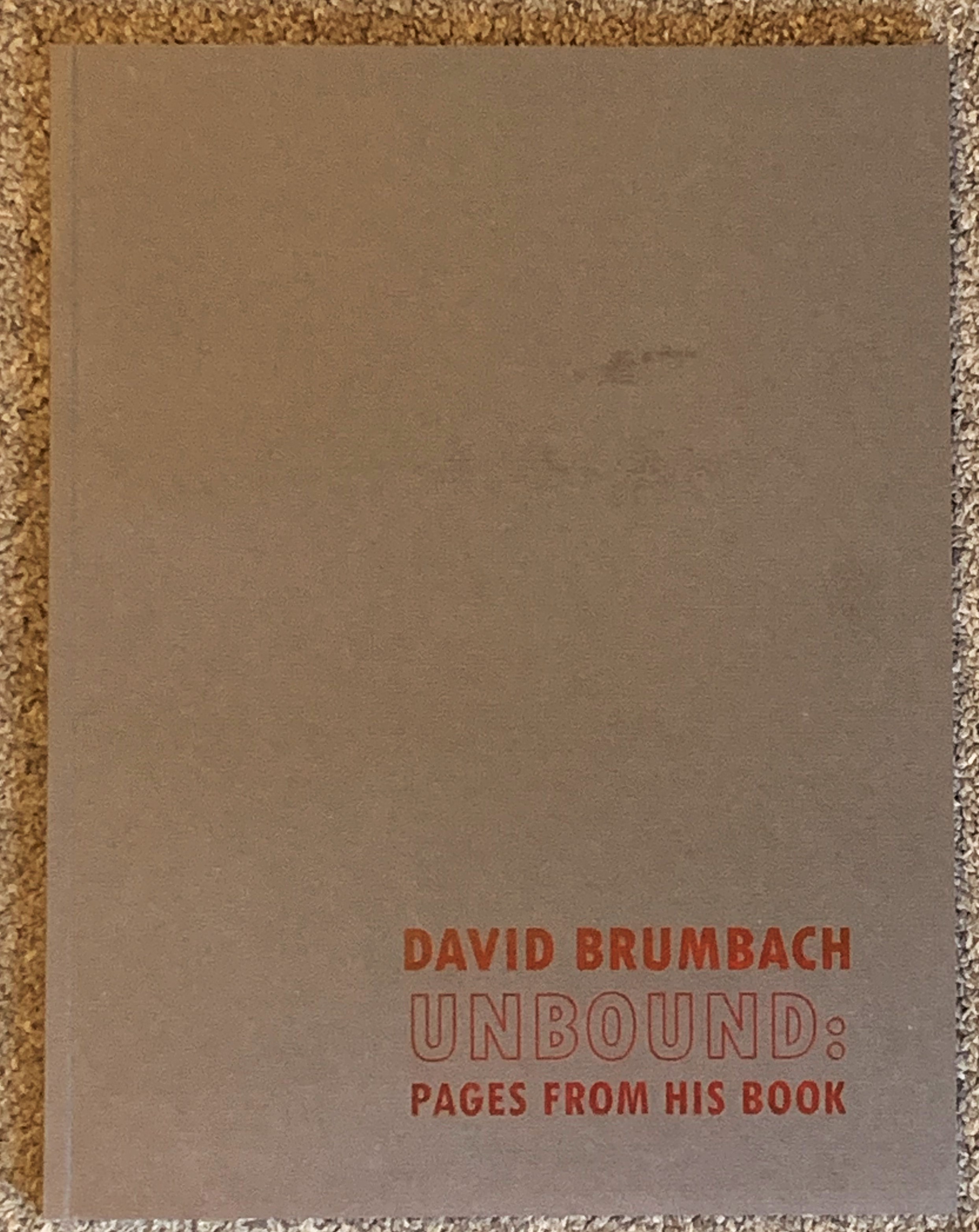 Image for David Brumbach Unbound : Pages from His Book