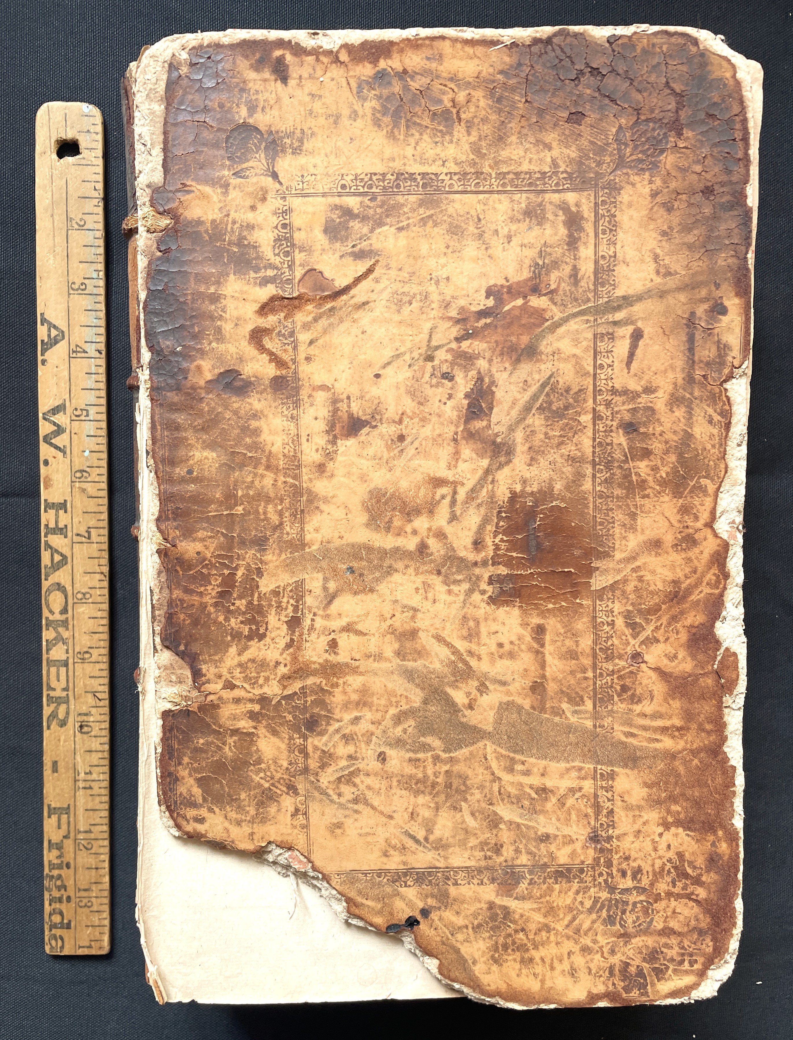 Romanae Urbis Topographiae Et Antiquitatum. (Six Parts Bound in One)